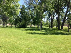 Sioux Park in Rapid City is green this year