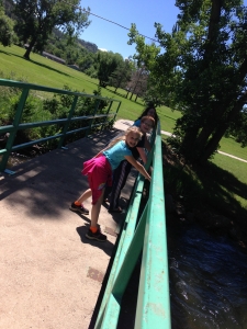 Pooh sticks at Sioux Park