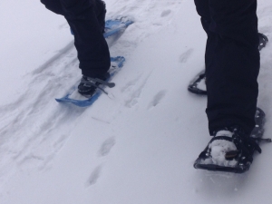 Snowshoeing in the Black Hills - snowshoe close up