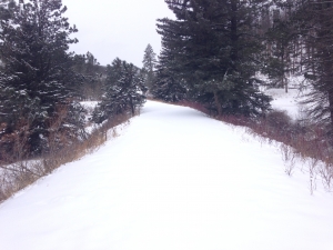 Snowshoeing in the Black Hills - fresh snow on the Mickelson Trail